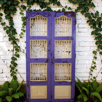 Pair of Antique Vintage Indian Doors Shutters