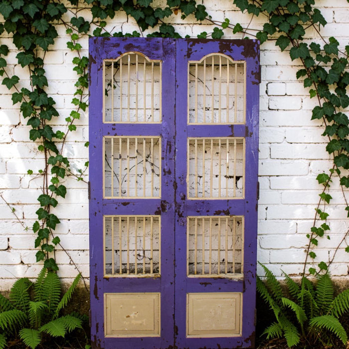 Pair of Antique Vintage Indian Doors Shutters