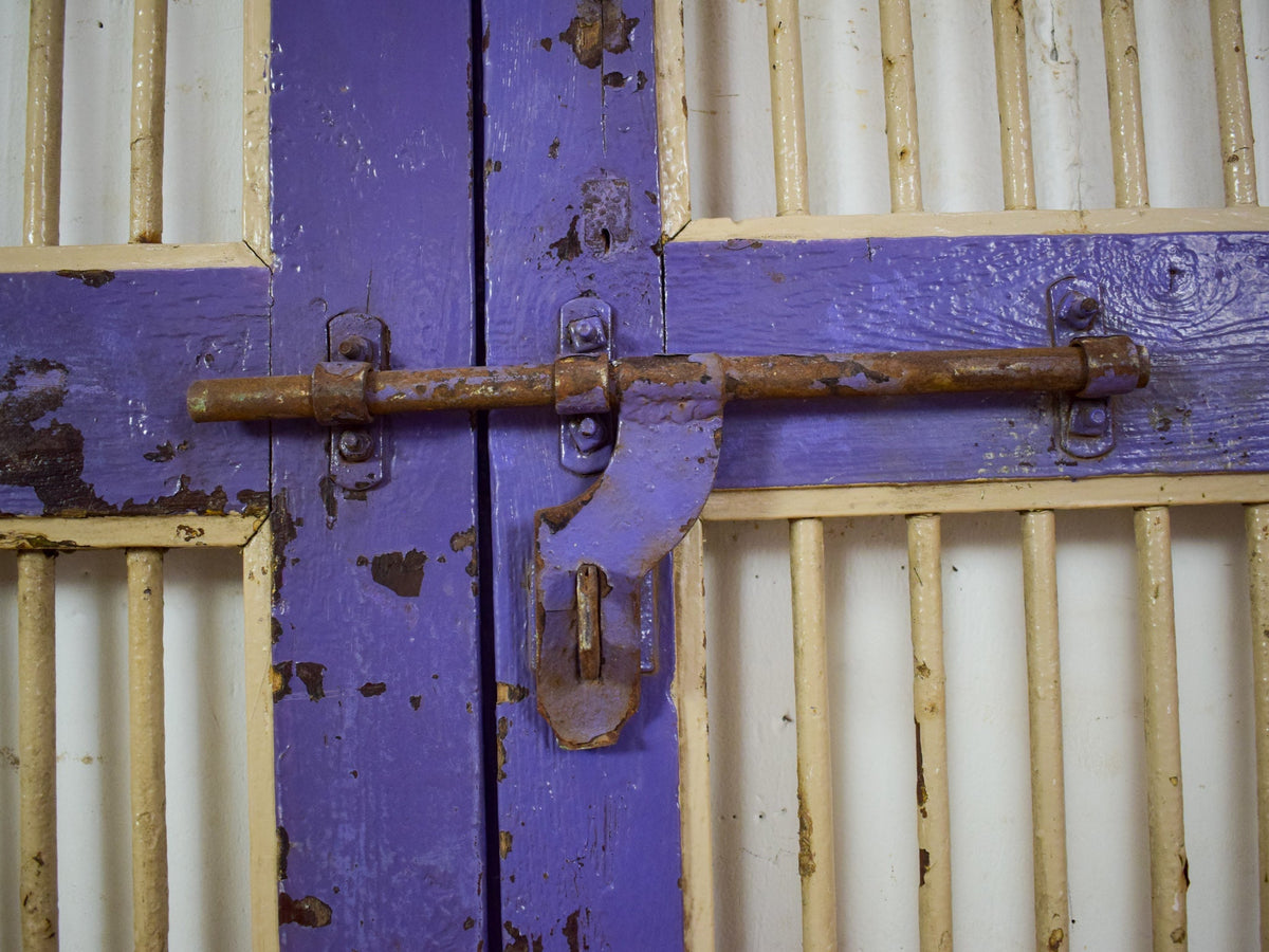 Pair of Antique Vintage Indian Doors Shutters