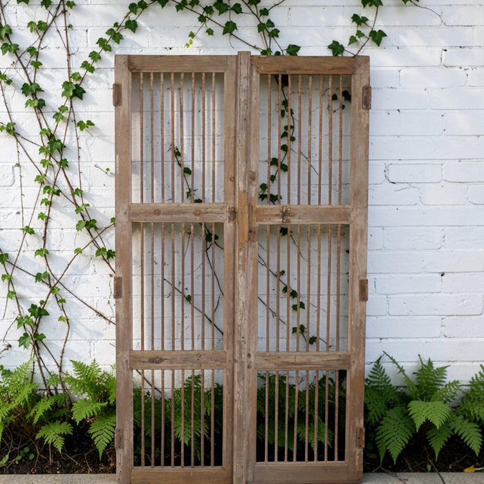 Pair of Antique Vintage Indian Doors Shutters