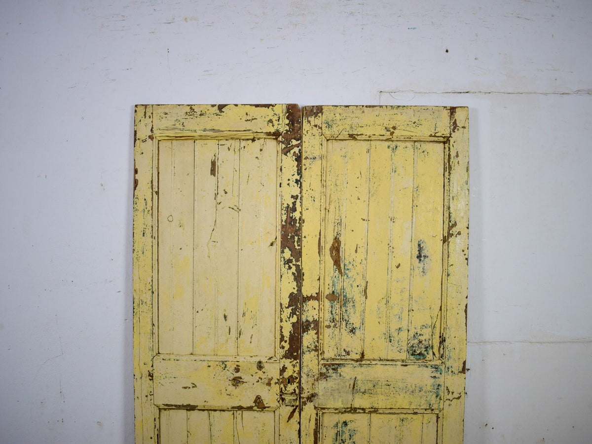 Pair of Antique Vintage Indian Doors Shutters