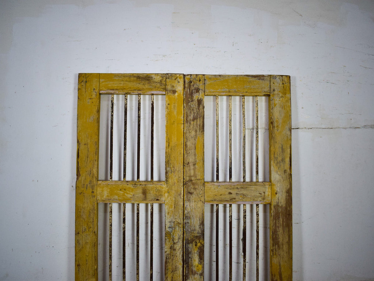 Pair of Antique Vintage Indian Doors Shutters