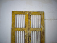 Pair of Antique Vintage Indian Doors Shutters