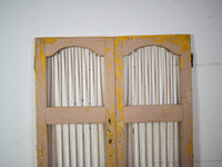 Pair of Antique Vintage Indian Doors Shutters