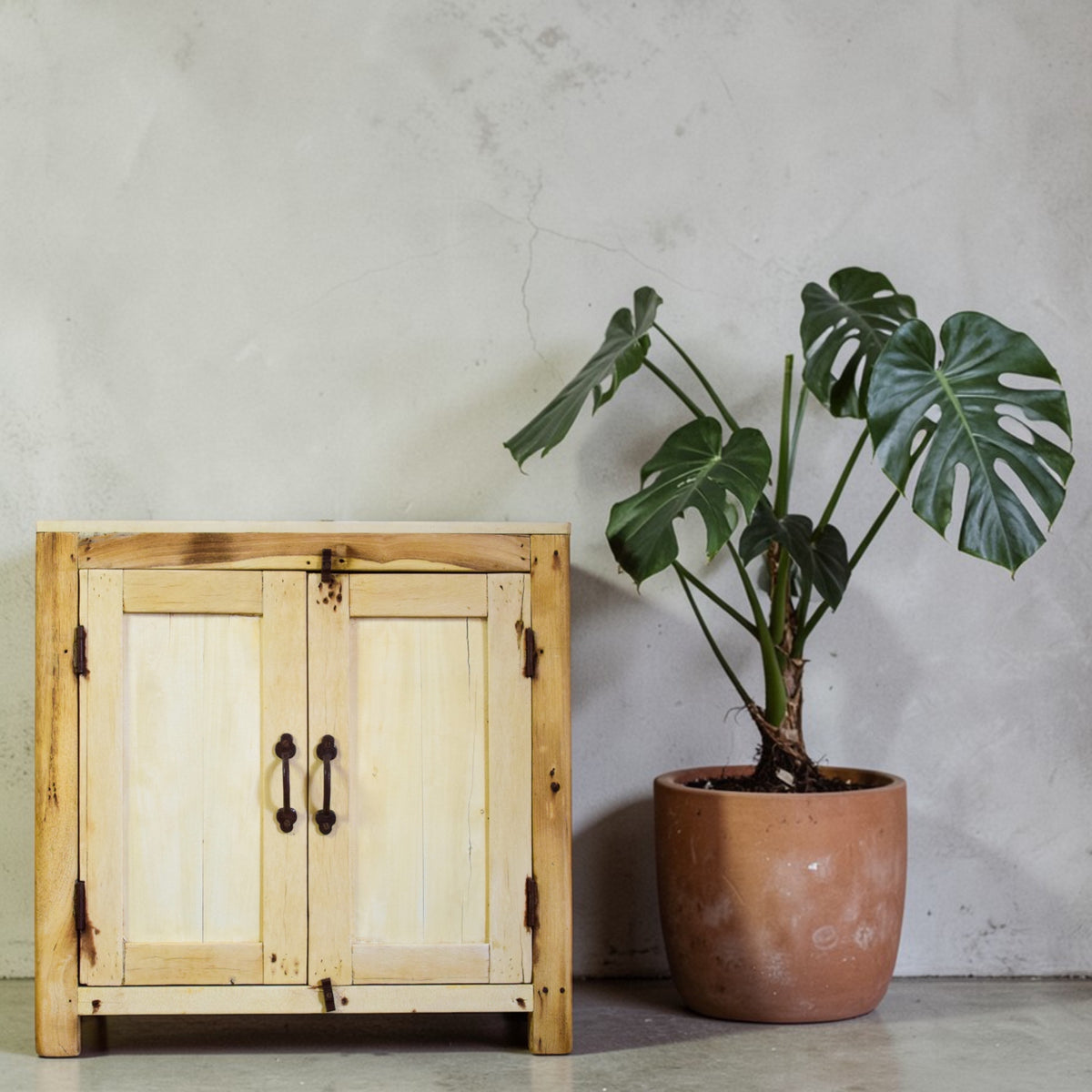 Vintage Rustic Bleached Wood Cupboard Cabinet Storage