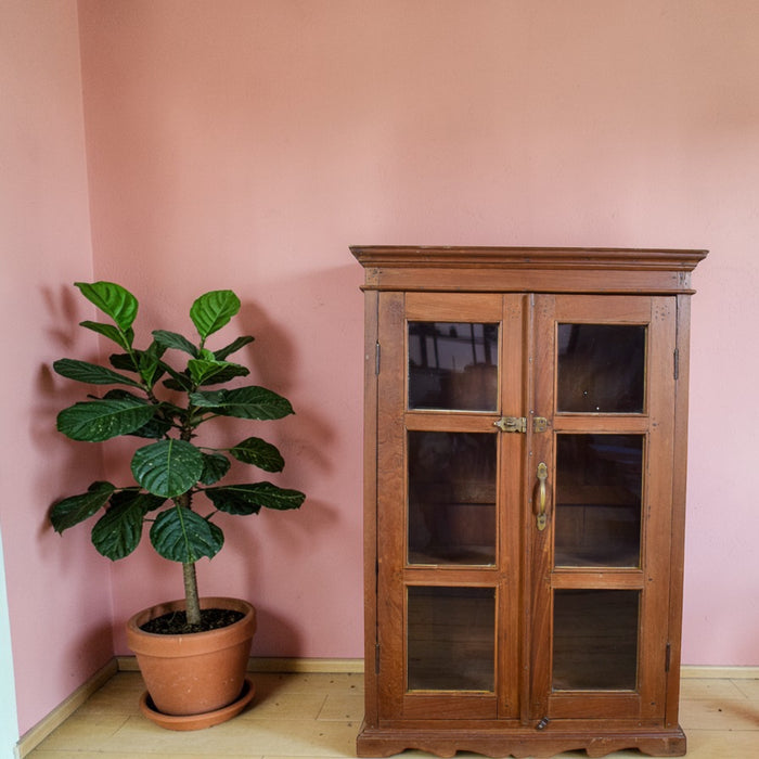 Vintage Rustic Cupboard Cabinet With Glass Doors