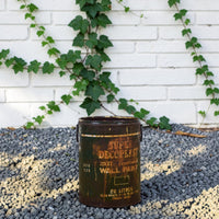 Vintage Rustic Metal Planter