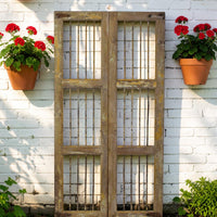 Pair of Antique Vintage Indian Doors Shutters
