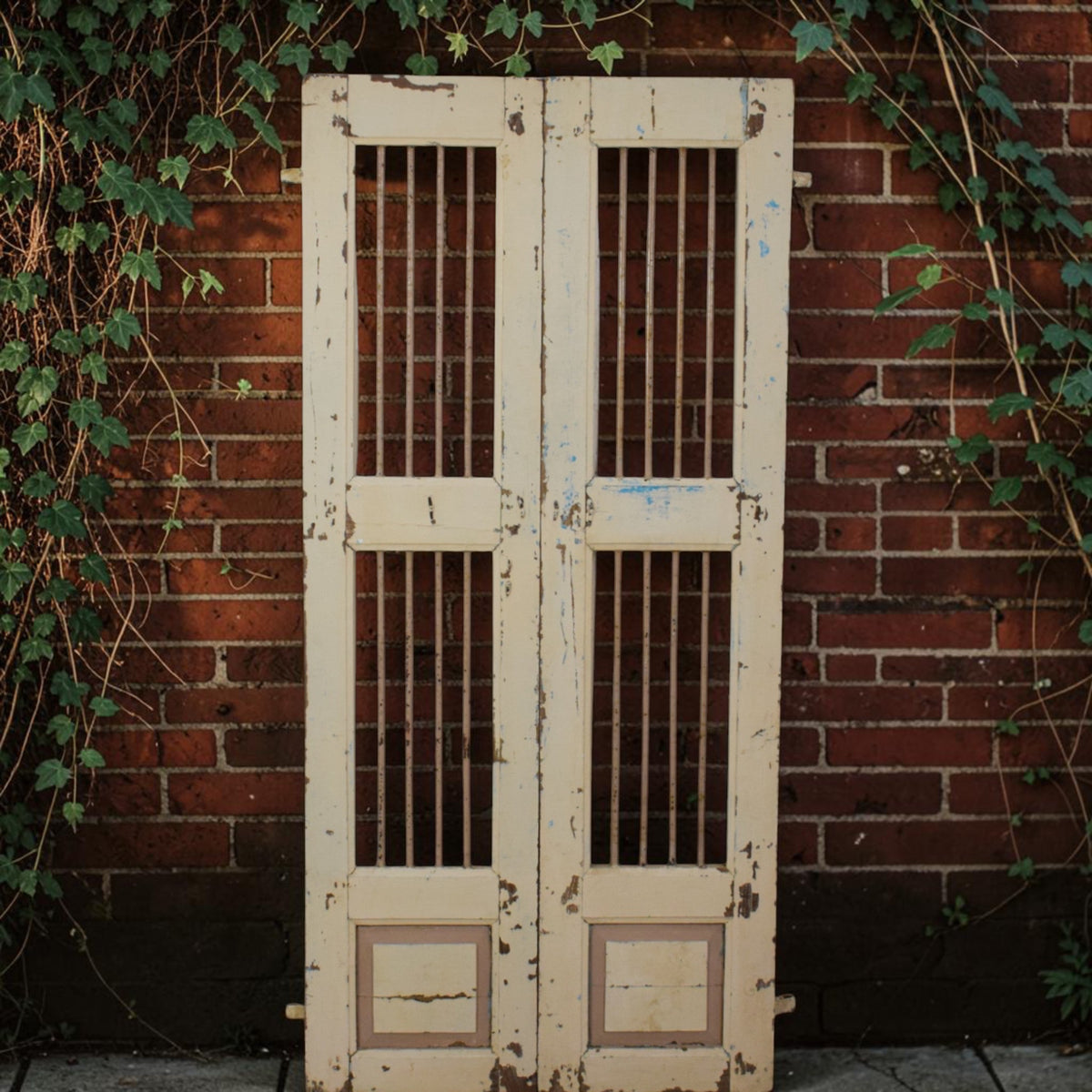 Pair of Antique Vintage Indian Doors Shutters