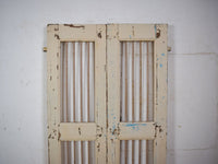 Pair of Antique Vintage Indian Doors Shutters
