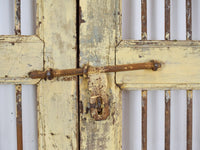 Pair of Antique Vintage Indian Doors Shutters