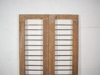 Pair of Antique Vintage Indian Doors Shutters