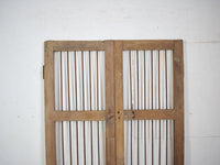 Pair of Antique Vintage Indian Doors Shutters