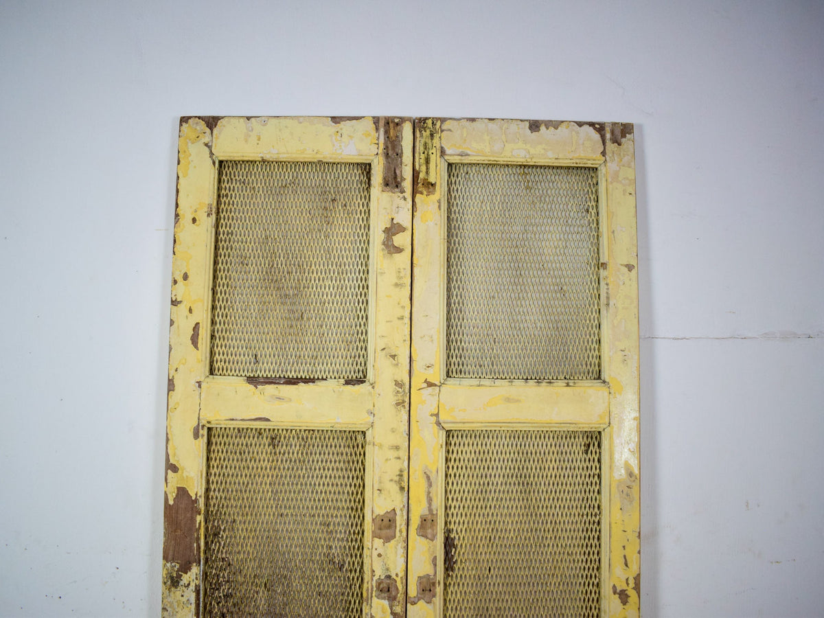 Pair of Antique Vintage Indian Doors Shutters