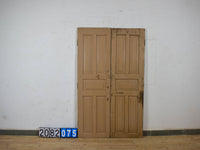 Pair of Antique Vintage Indian Panel Doors