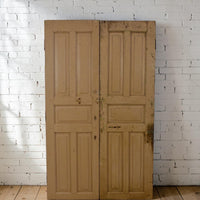 Pair of Antique Vintage Indian Panel Doors