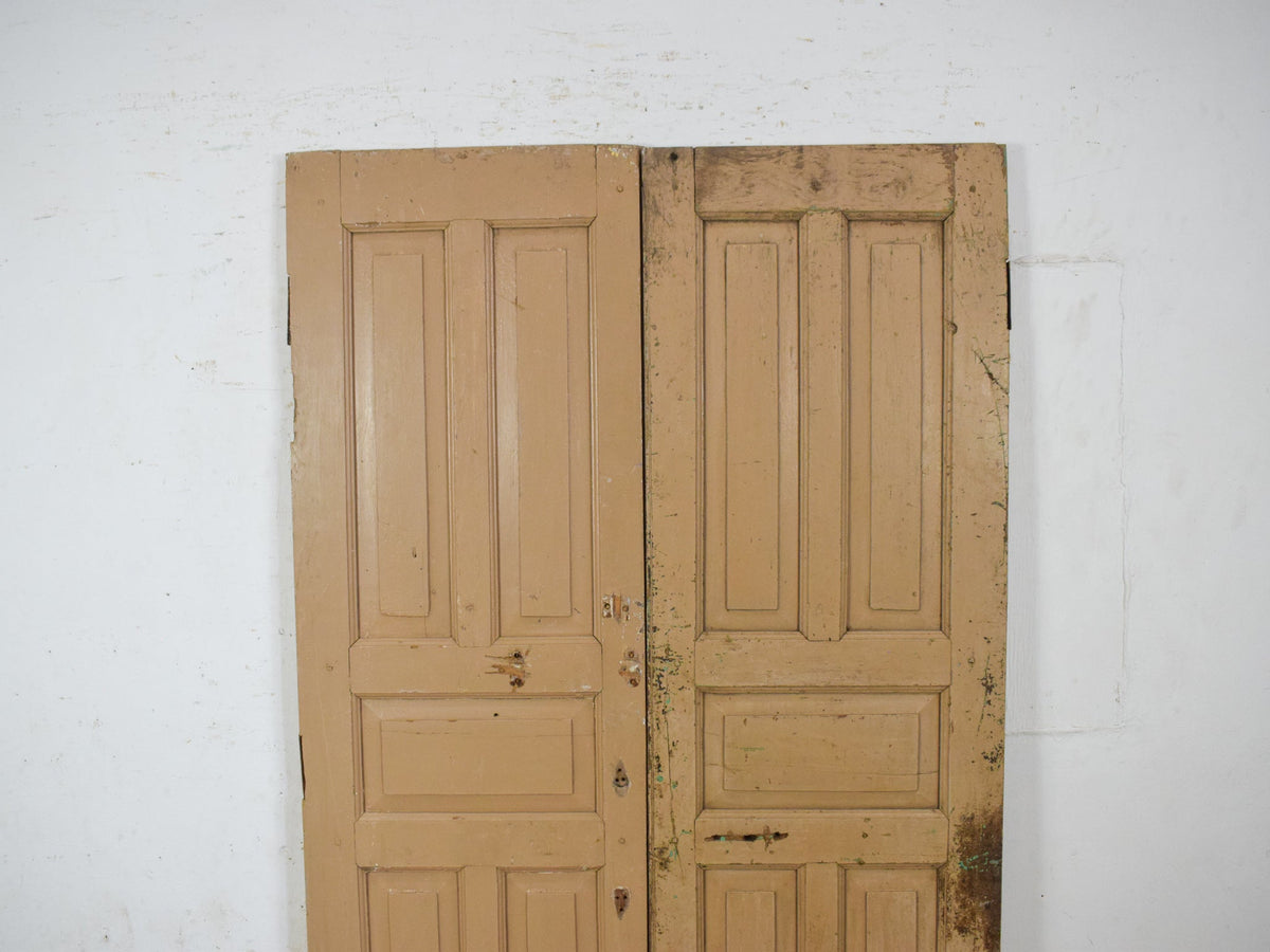 Pair of Antique Vintage Indian Panel Doors