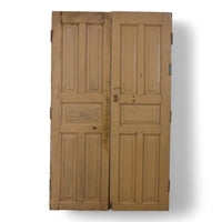 Pair of Antique Vintage Indian Panel Doors