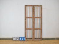 Pair of Antique Vintage Indian Doors Shutters