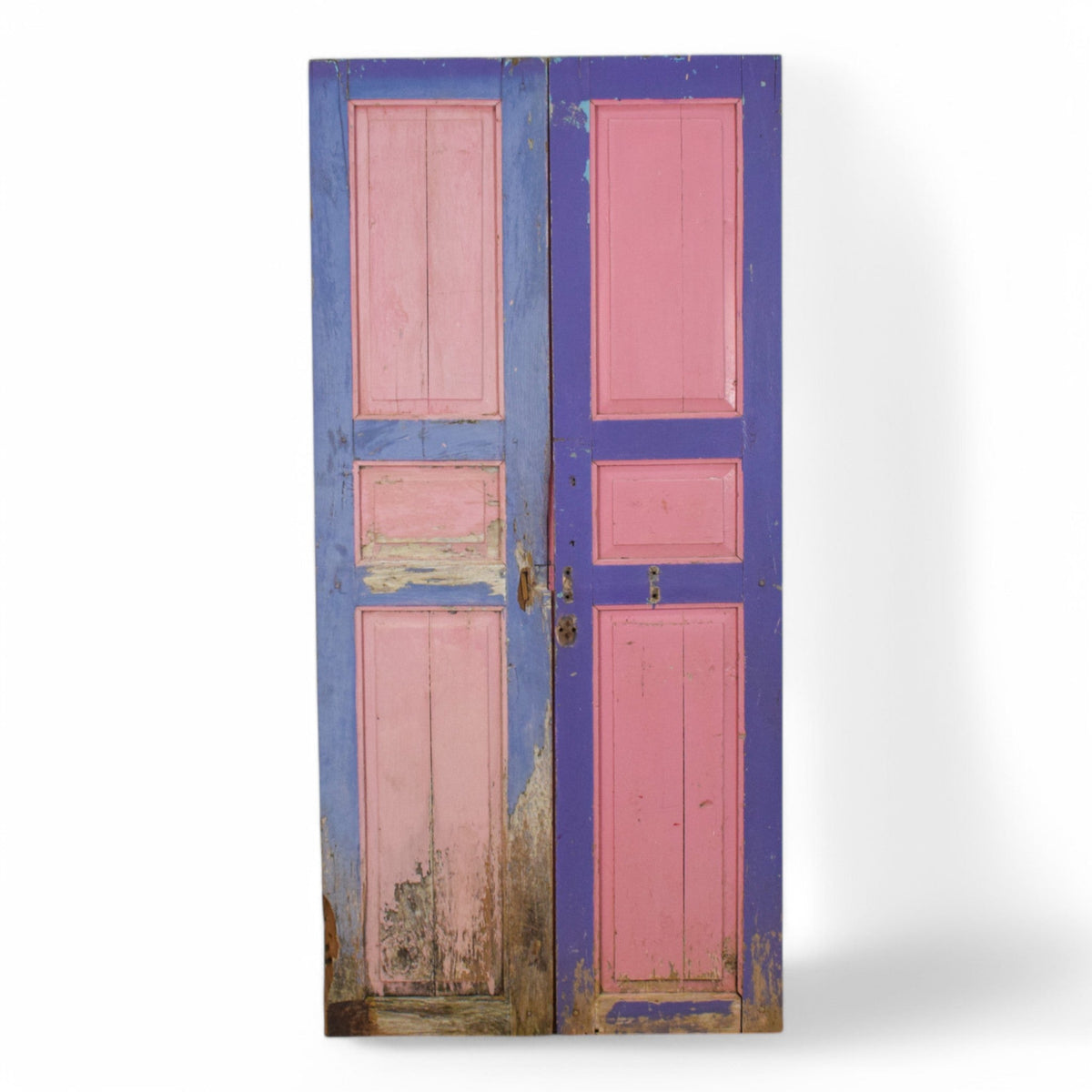 Pair of Antique Vintage Indian Panel Doors