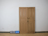 Pair of Antique Vintage Indian Panel Doors