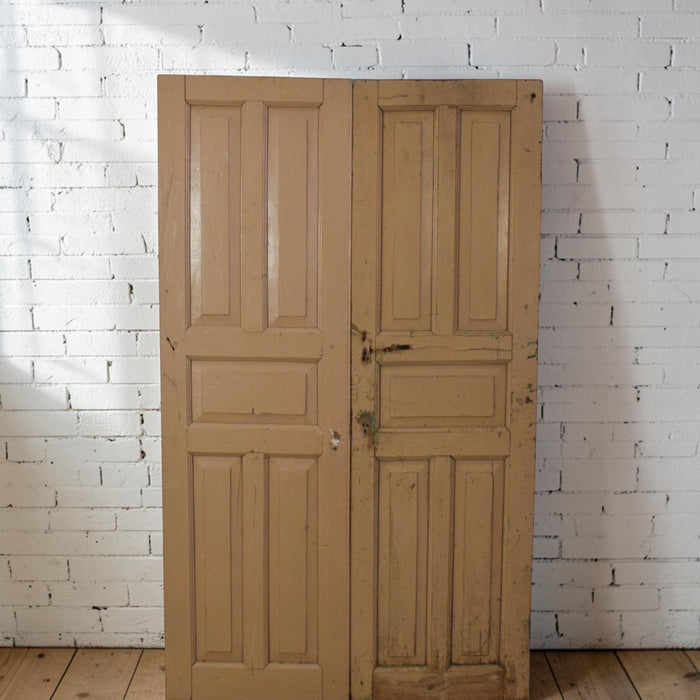 Pair of Antique Vintage Indian Panel Doors