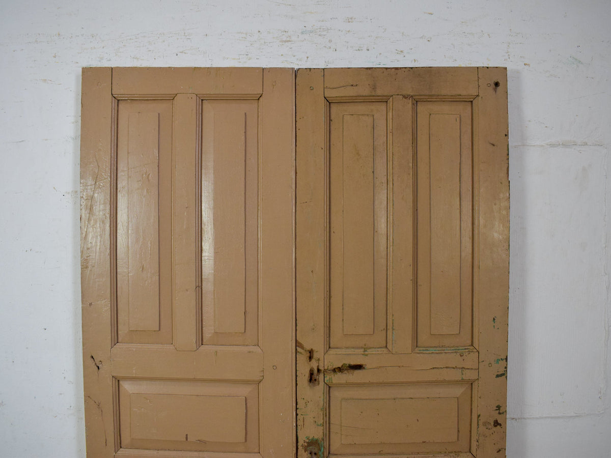 Pair of Antique Vintage Indian Panel Doors