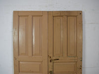 Pair of Antique Vintage Indian Panel Doors