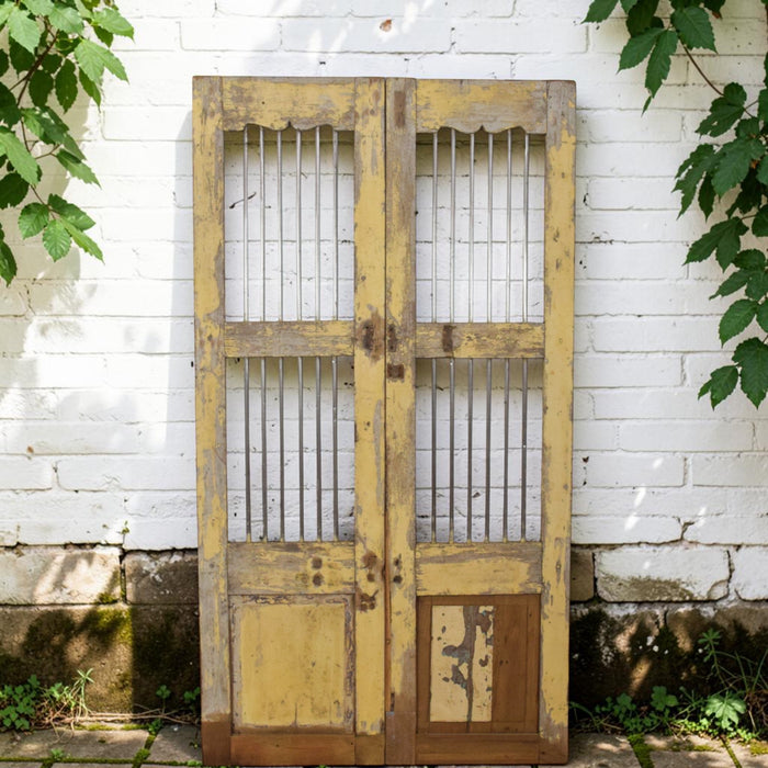 Pair of Antique Vintage Indian Doors Shutters