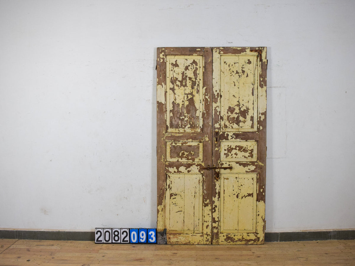 Pair of Antique Vintage Indian Panel Doors
