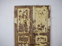Pair of Antique Vintage Indian Panel Doors