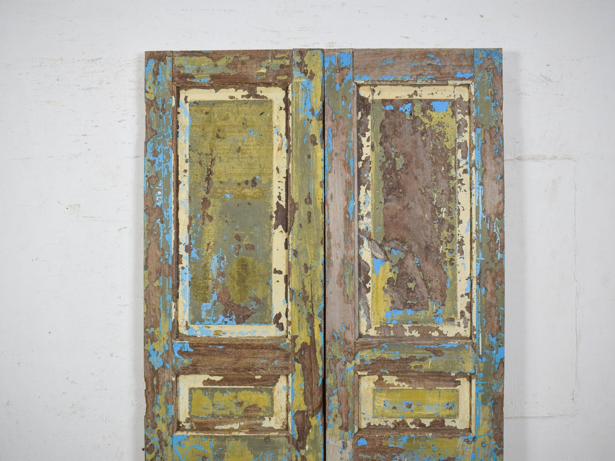 Pair of Antique Vintage Indian Panel Doors