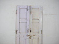 Pair of Antique Vintage Indian Panel Doors