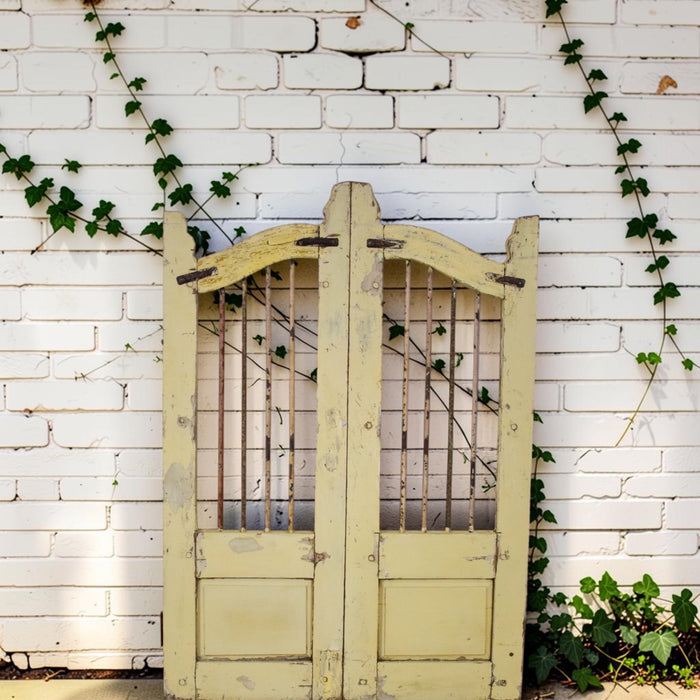 Pair of Vintage Indian Garden Dog Gates