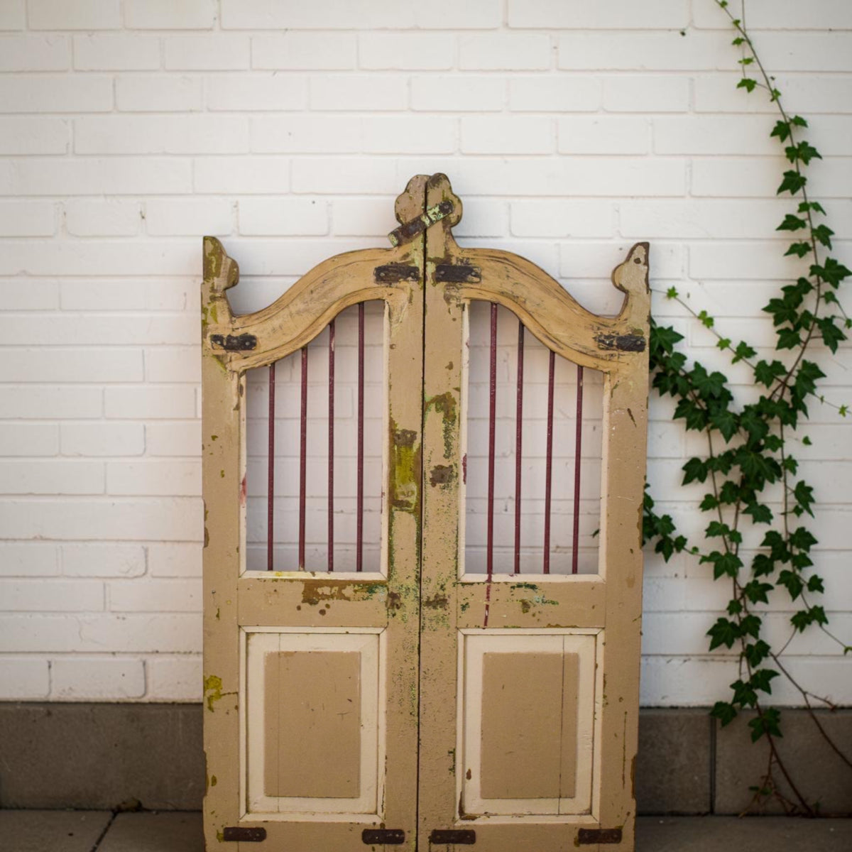 Pair of Vintage Indian Garden Dog Gates