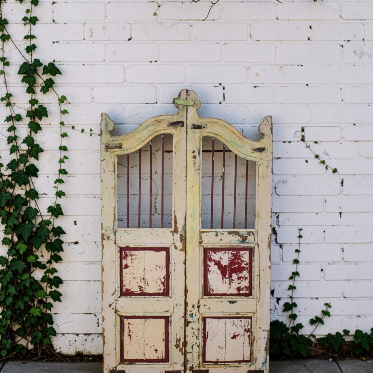 Pair of Vintage Indian Garden Dog Gates