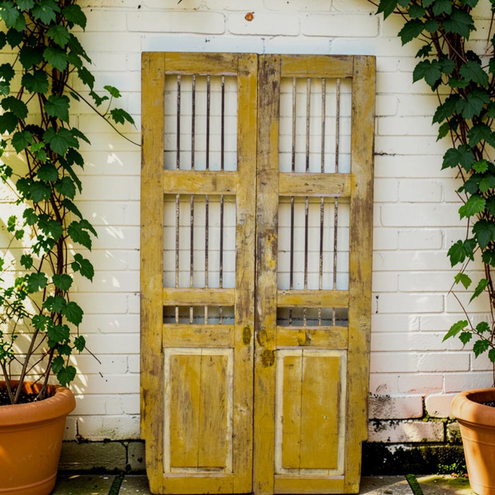 Pair of Antique Vintage Indian Doors Shutters