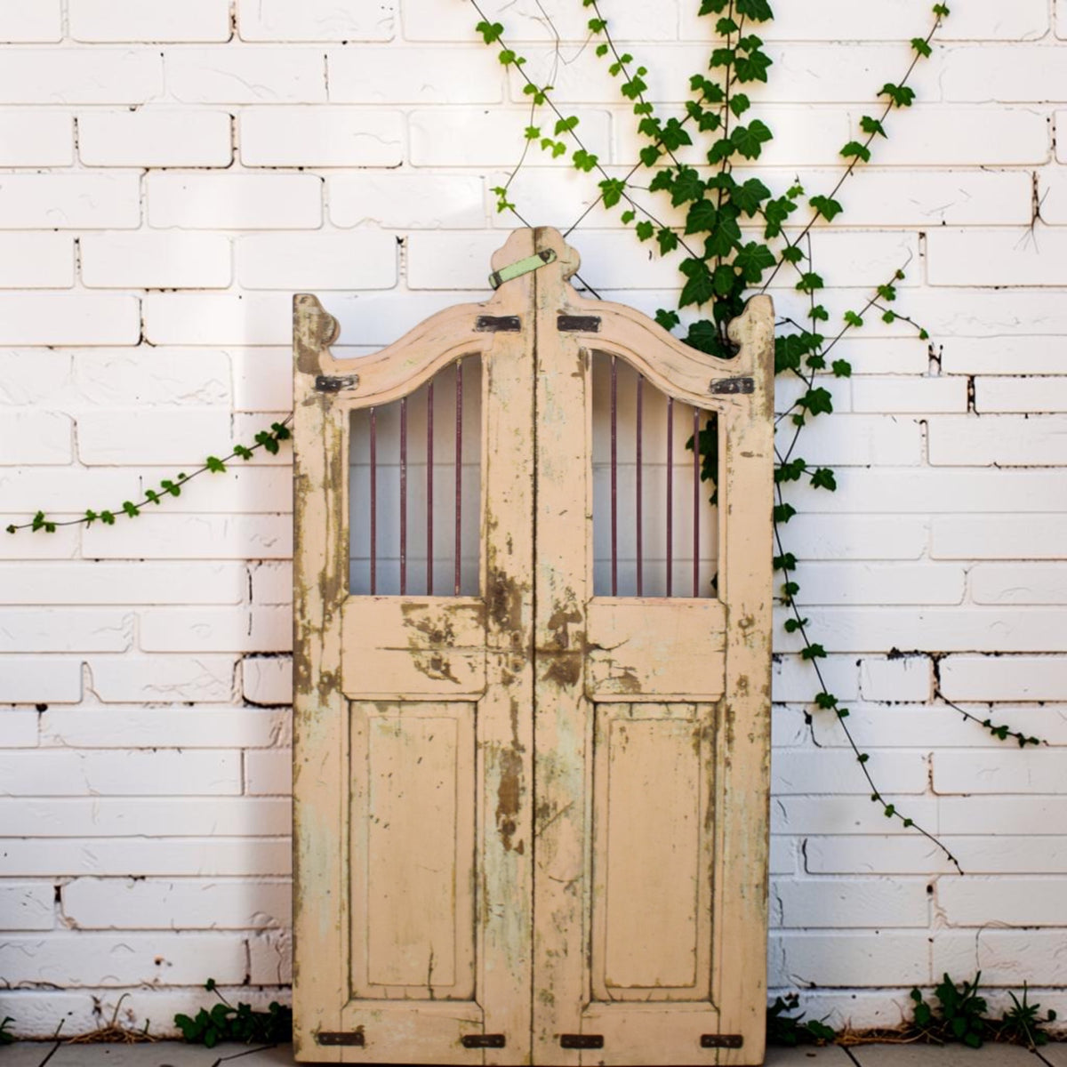 Pair of Vintage Indian Garden Dog Gates