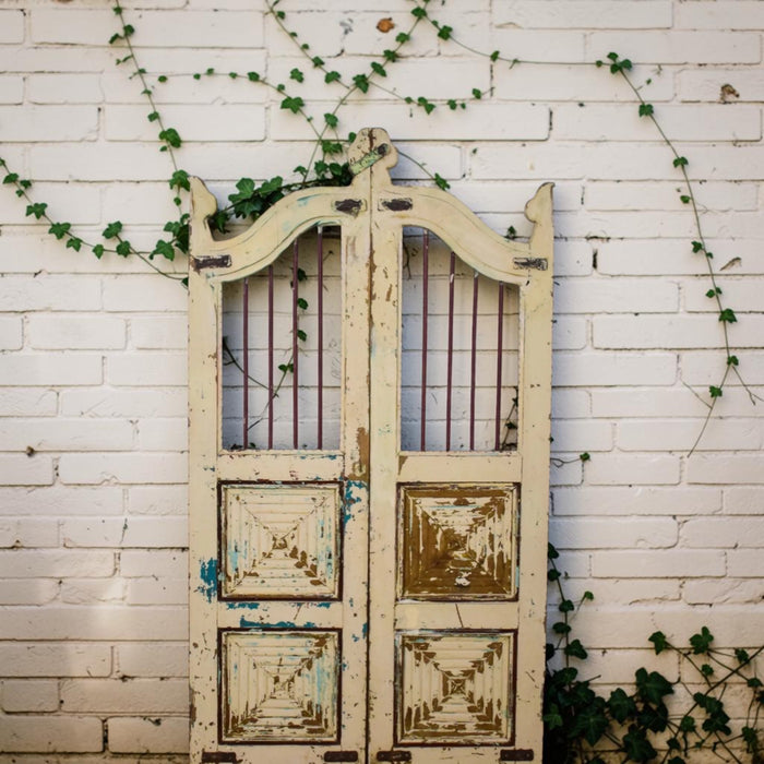 Pair of Vintage Indian Garden Dog Gates