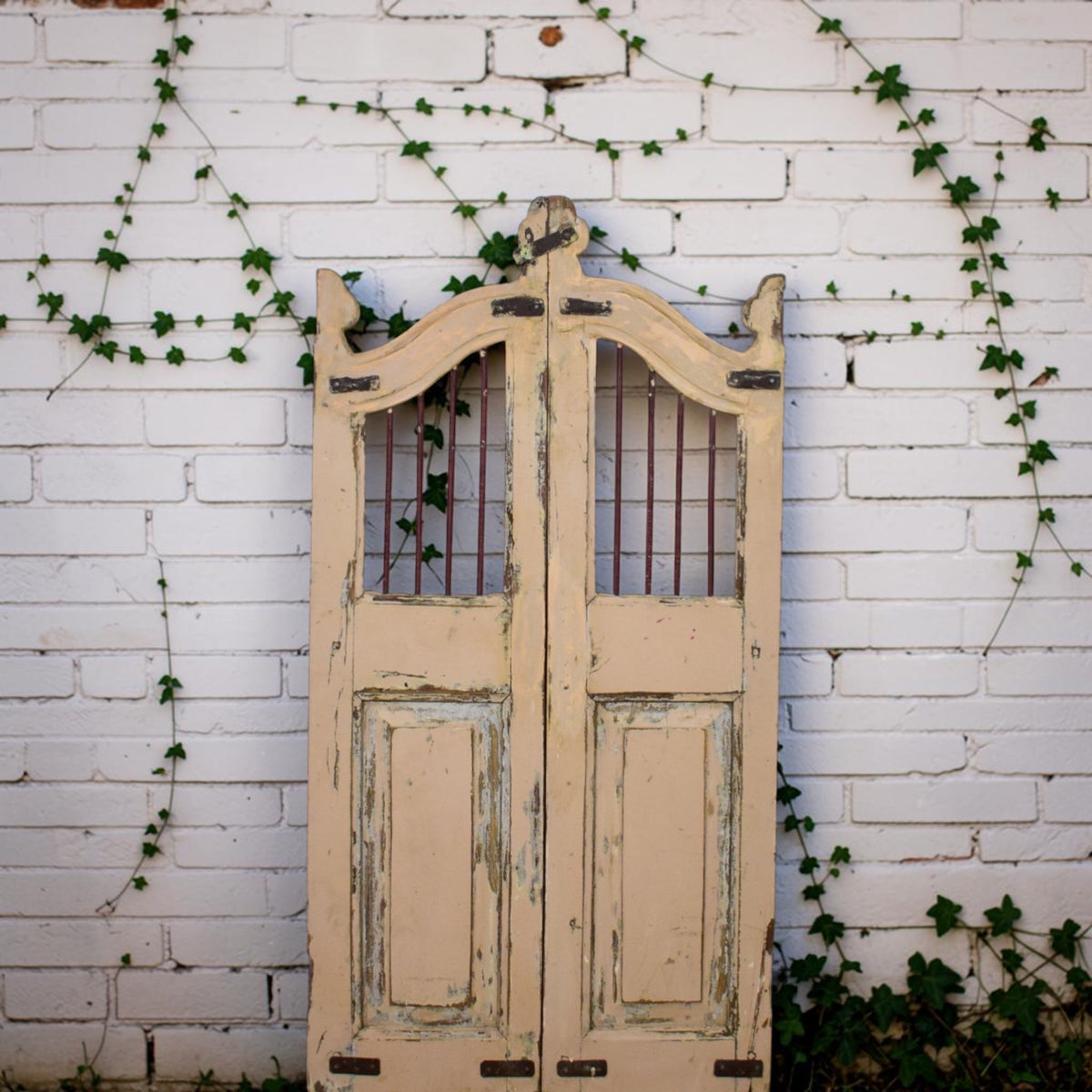 Pair of Vintage Indian Garden Dog Gates
