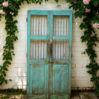 Pair of Antique Vintage Indian Doors Shutters
