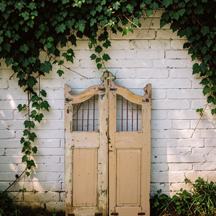 Pair of Vintage Indian Garden Dog Gates