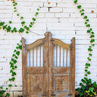 Pair of Vintage Indian Garden Dog Gates