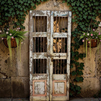 Pair of Antique Vintage Indian Doors Shutters