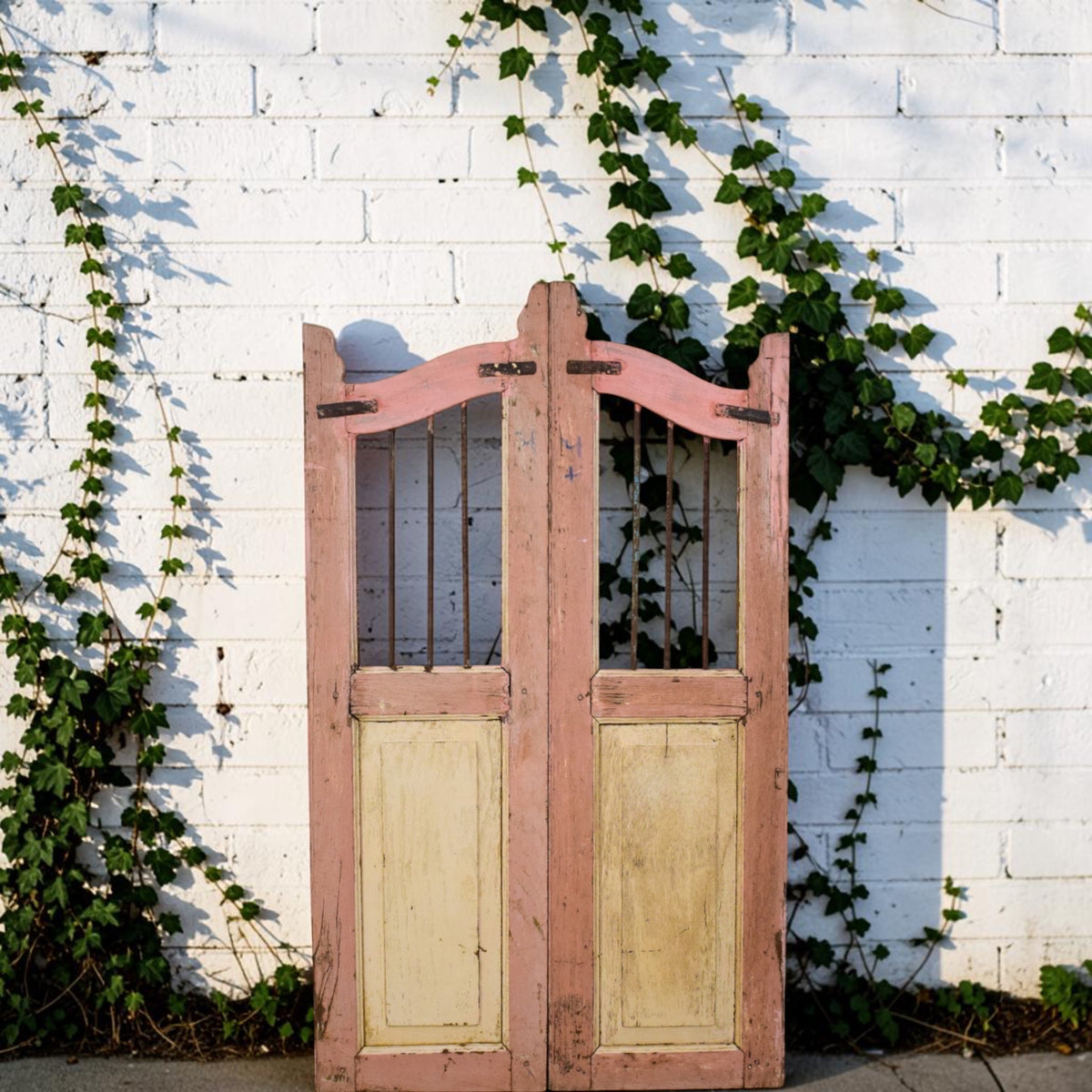 Pair of Vintage Indian Garden Dog Gates