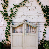 Pair of Vintage Indian Garden Dog Gates